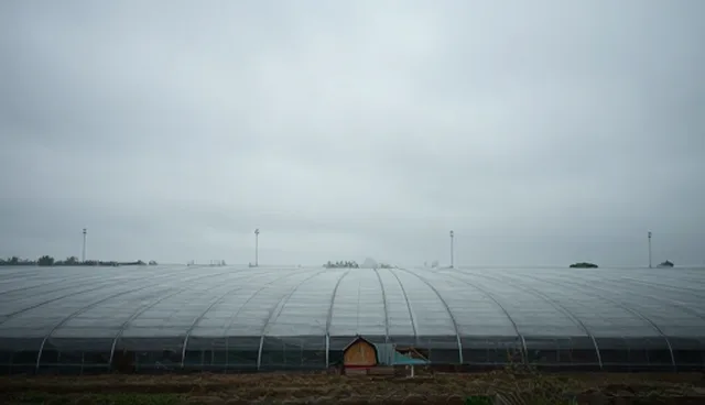 技术优化中的维护方法及应用场景分析,提升多行业运营效率